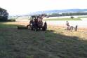 Getreide_2004-10.jpg